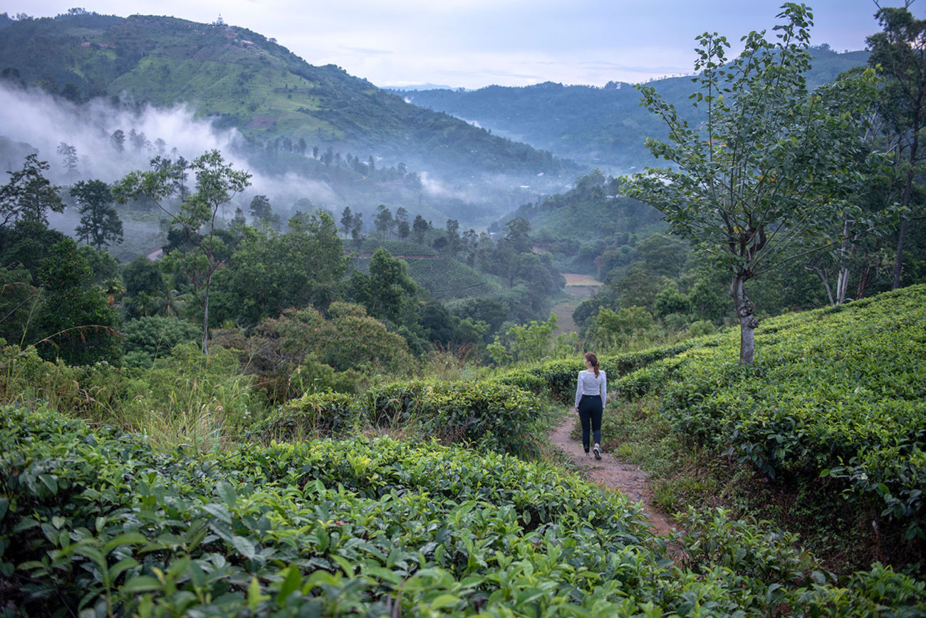 Sri Lanka - This Photography Life